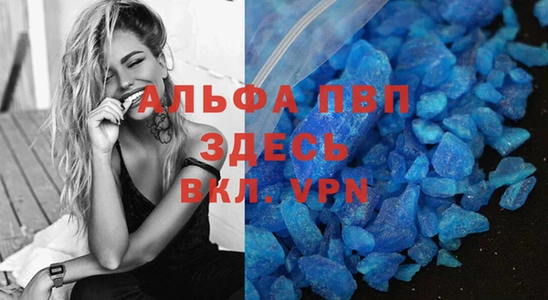твердый Аркадак