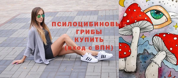 твердый Аркадак