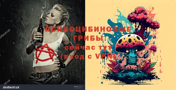 амф Алексин