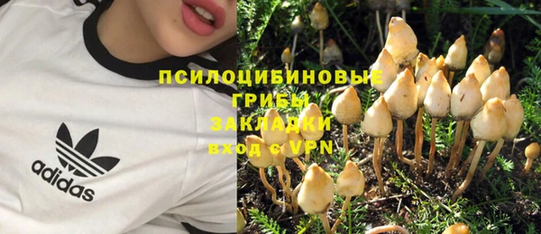 не бодяженный Алзамай