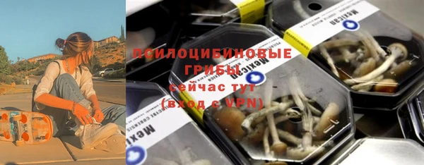 твердый Аркадак