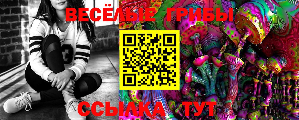 Псилоцибиновые грибы GOLDEN TEACHER Асбест